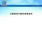 [IHF2010]云南省的少数民族高血压
