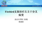 [IHF2009]Firebird支架治疗左主干分叉病变